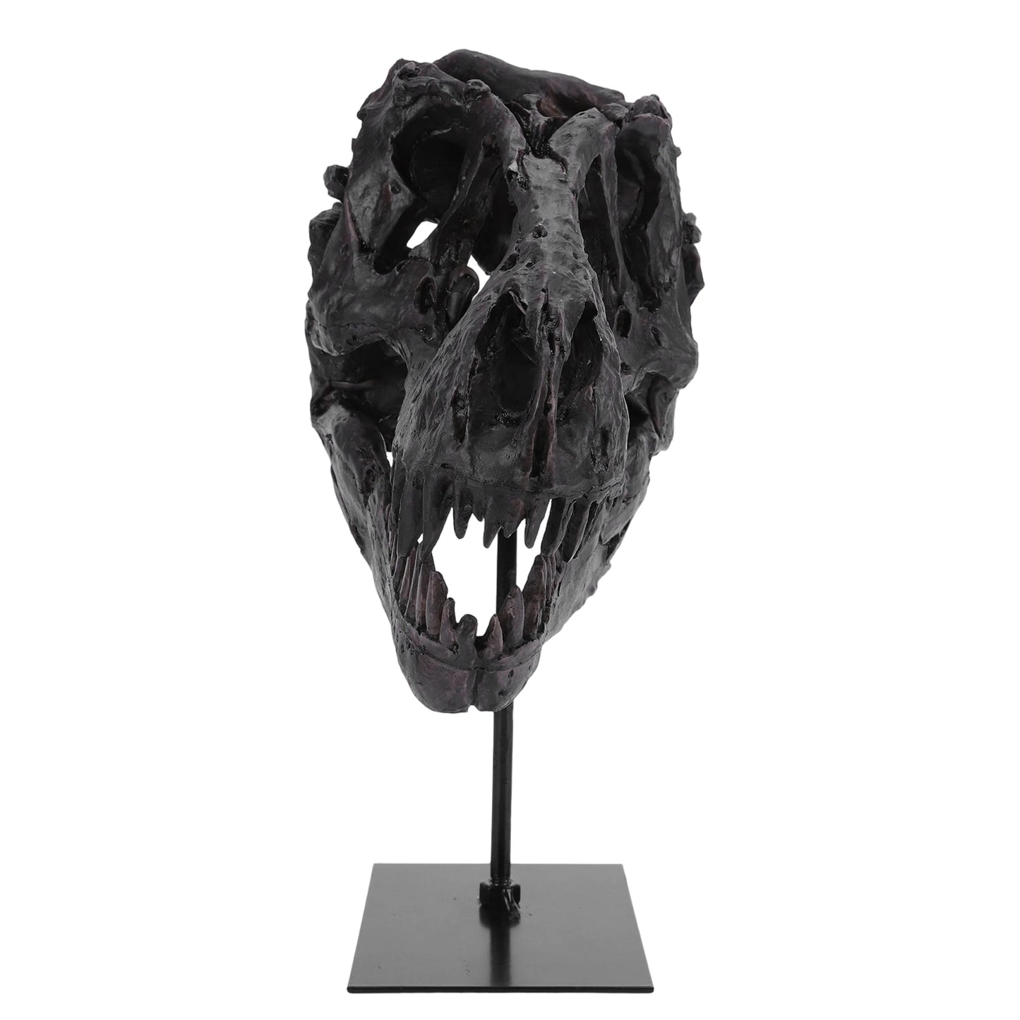 Tyrannosaurus Rex Fossil Resin Skull Sculpture With Display Bracket