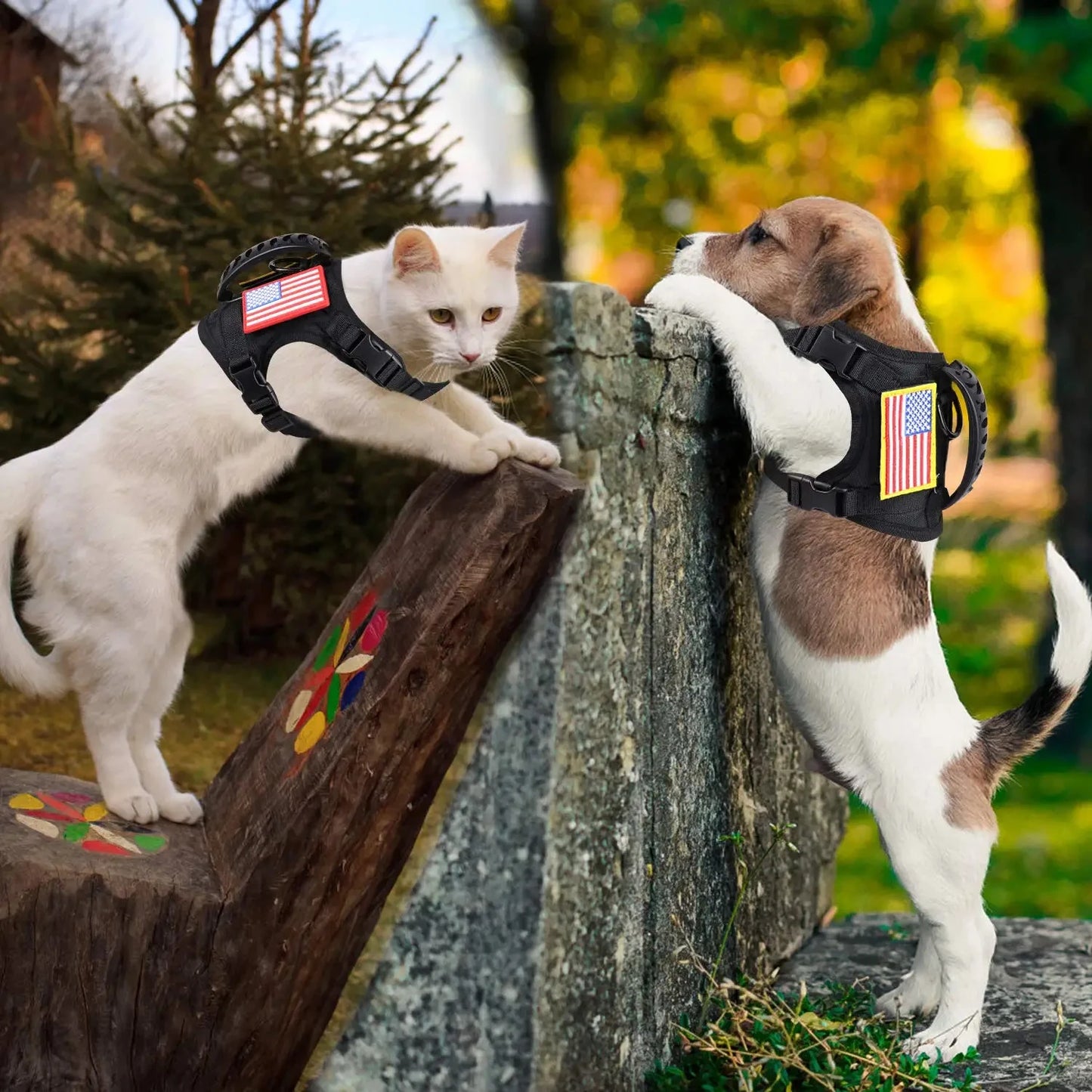 Adjustable Tactical Harness And Leash Set For Dogs And Cats