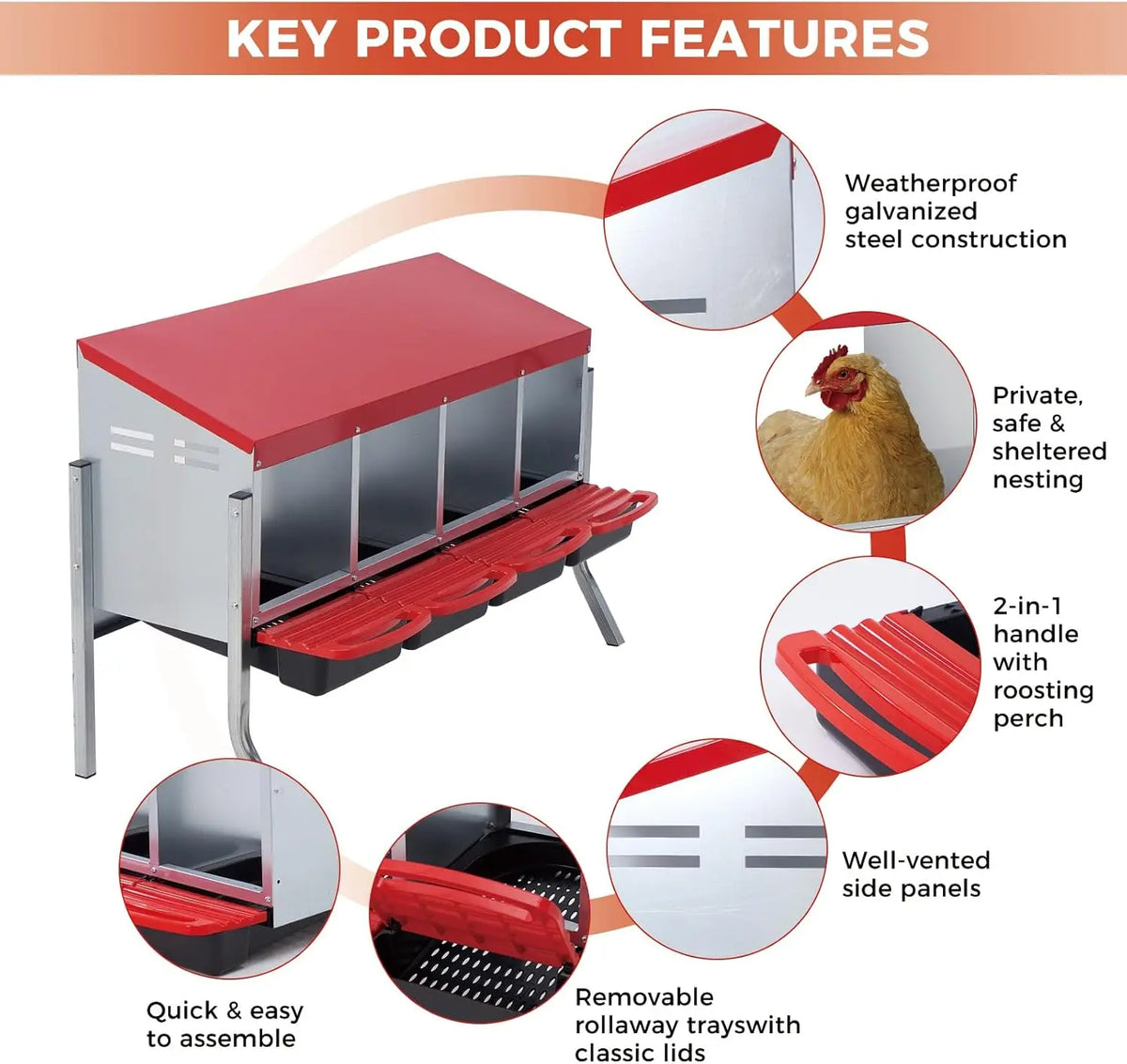 Twister.Ck Automatic Multi Compartment Nesting Box For Chicken Eggs