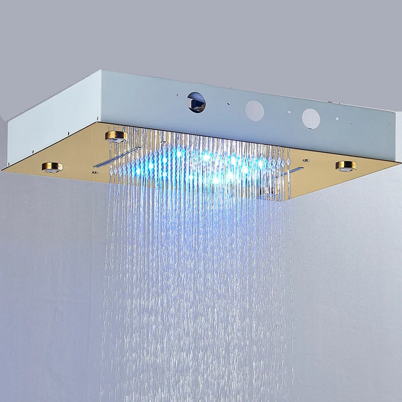 Rozin Ceiling LED Shower Head With Dual Spray Modes And Remote