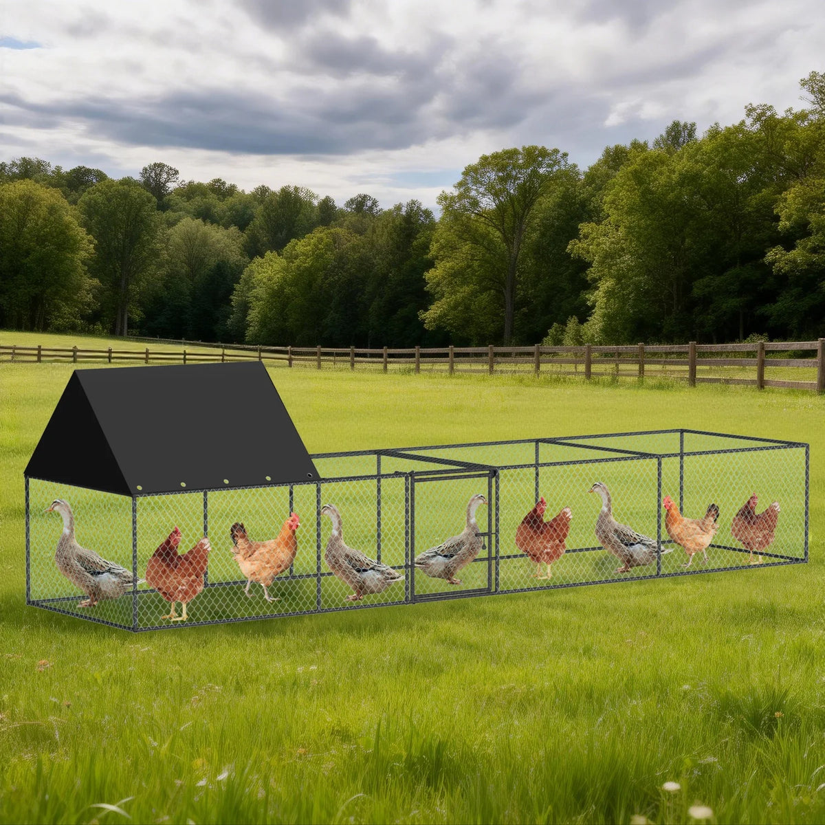 BINGOPAW Metal Chicken Coop Walk In Run With Durable Netting