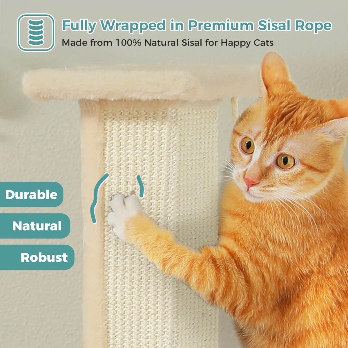 PAWZ Road Tall Cat Scratching Post With Sisal Ball