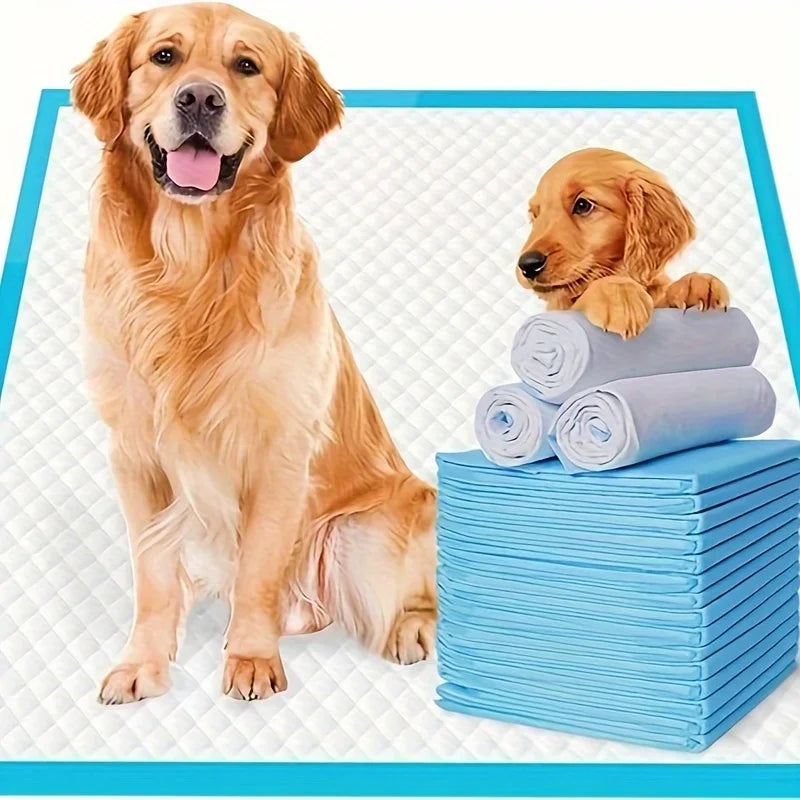 Disposable Dog Training Pads With Superior Absorption And Odor Control
