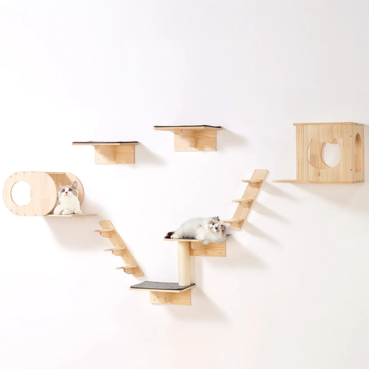 SucceBuy Wall Mounted Cat Shelves With Perches And Hammocks