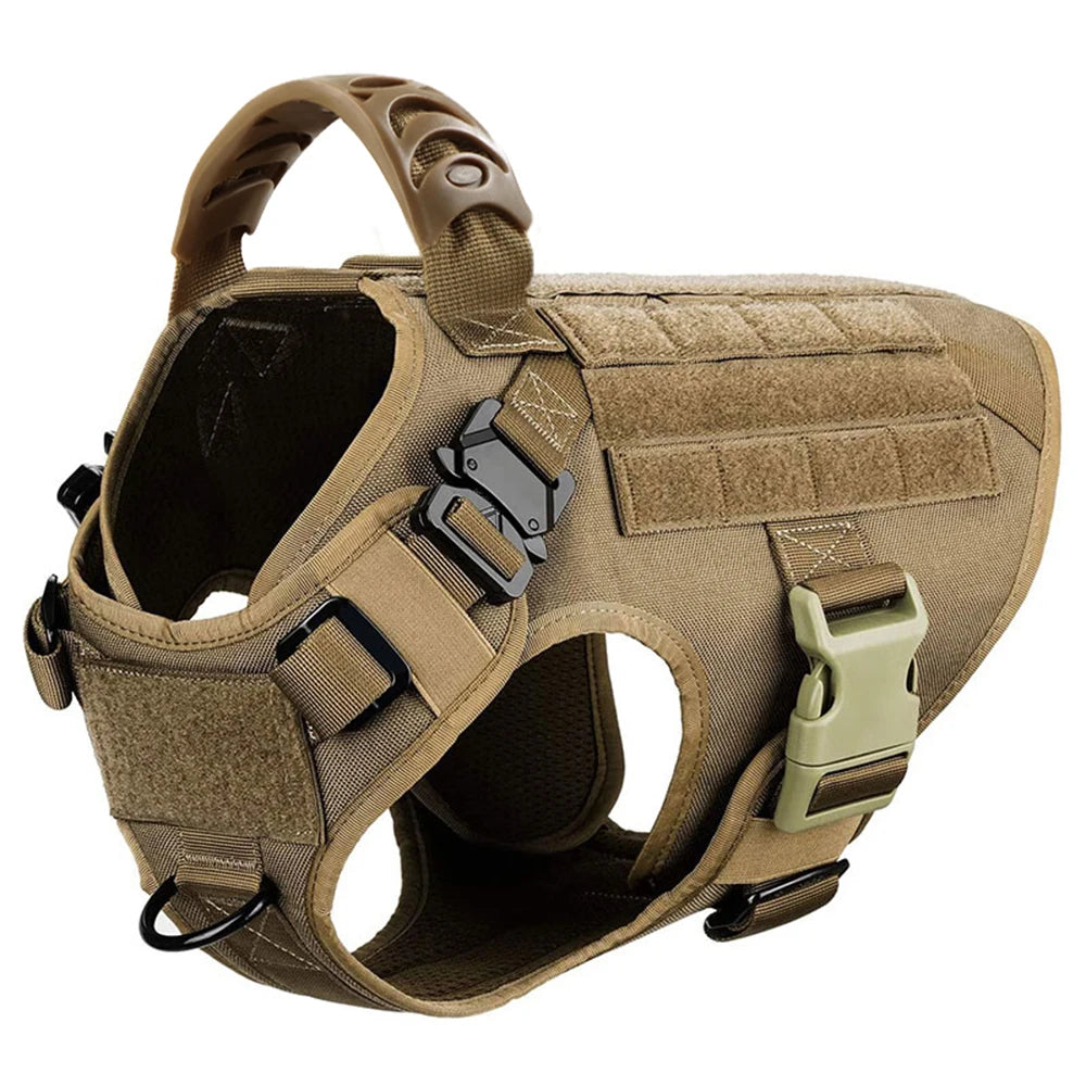 Padded Nylon Dog Harness And Leash Set With Quick Release