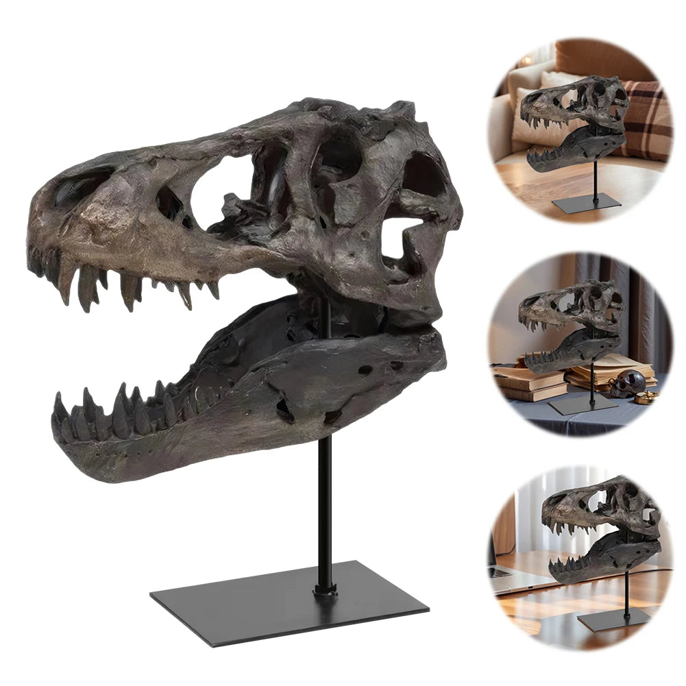 Tyrannosaurus Rex Fossil Resin Skull Sculpture With Display Bracket