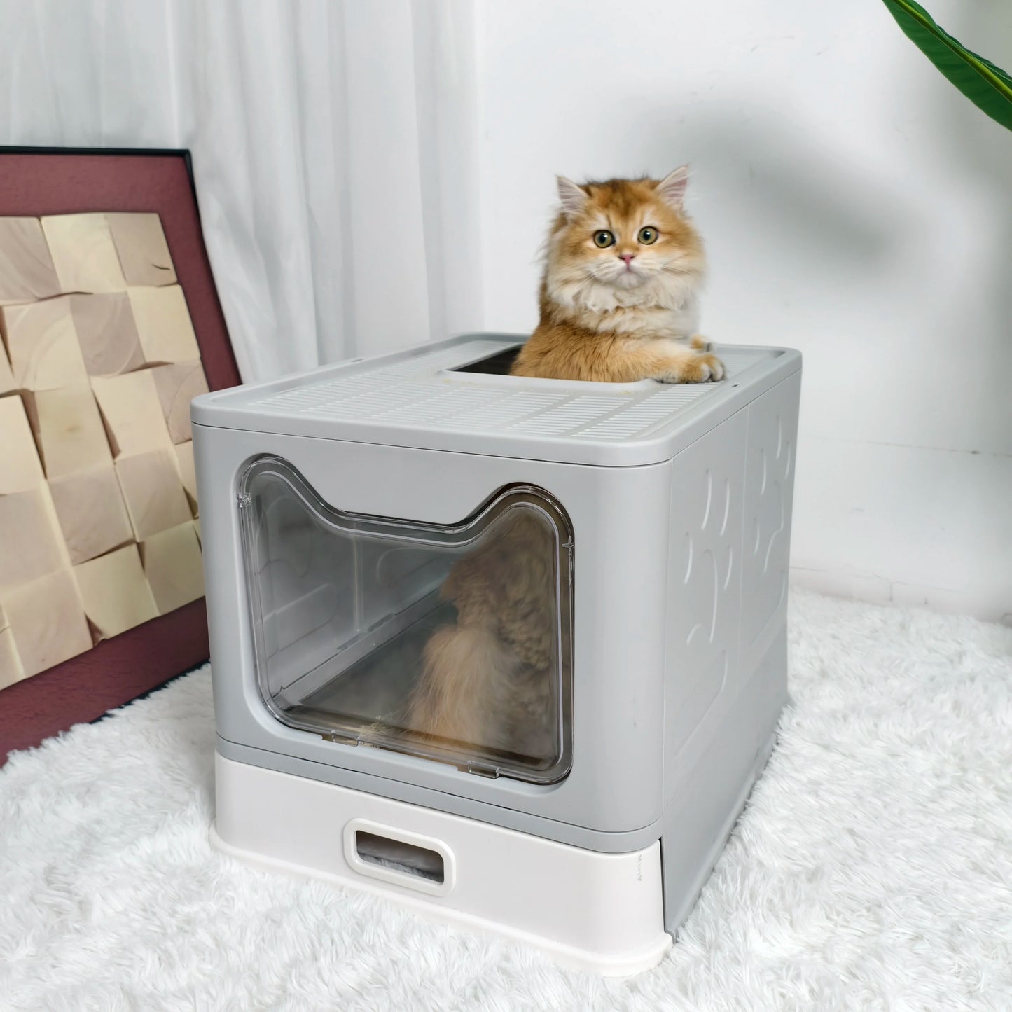Plastic Cat Litter Box Front Entry With Top Exit Lid For Easy Cleaning