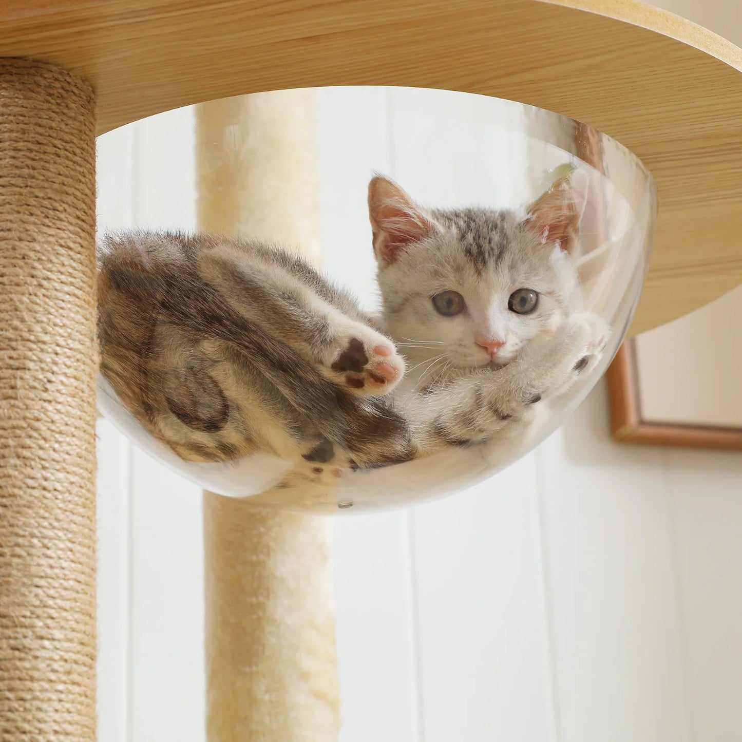 PAWZ Ro Multi Level Cat Tree Indoor Wood Tower Series