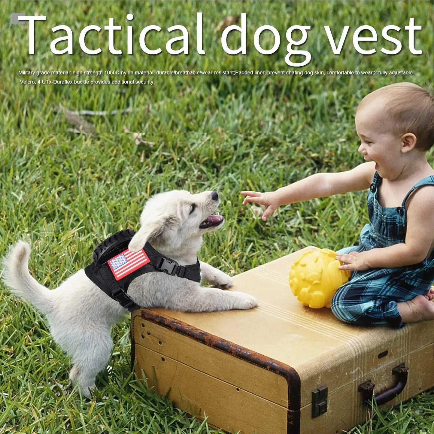 Adjustable Tactical Harness And Leash Set For Dogs And Cats