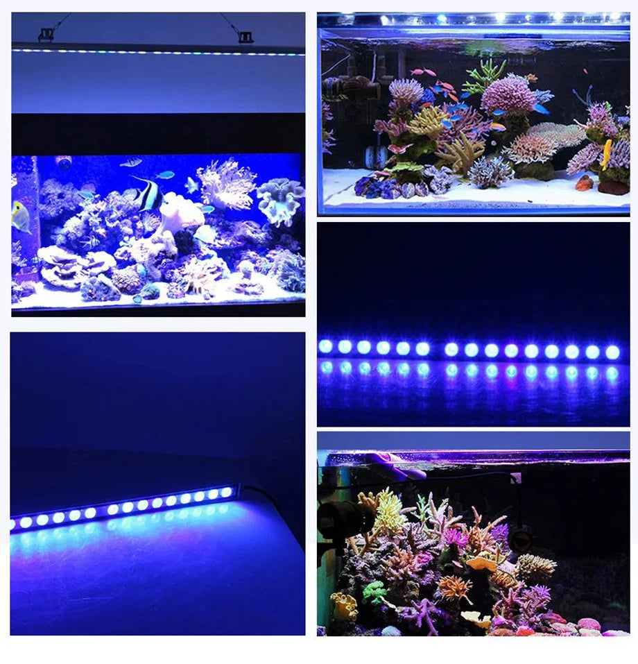 POPULARGROW Dimmable LED Aquarium Light for Coral Reef Tanks