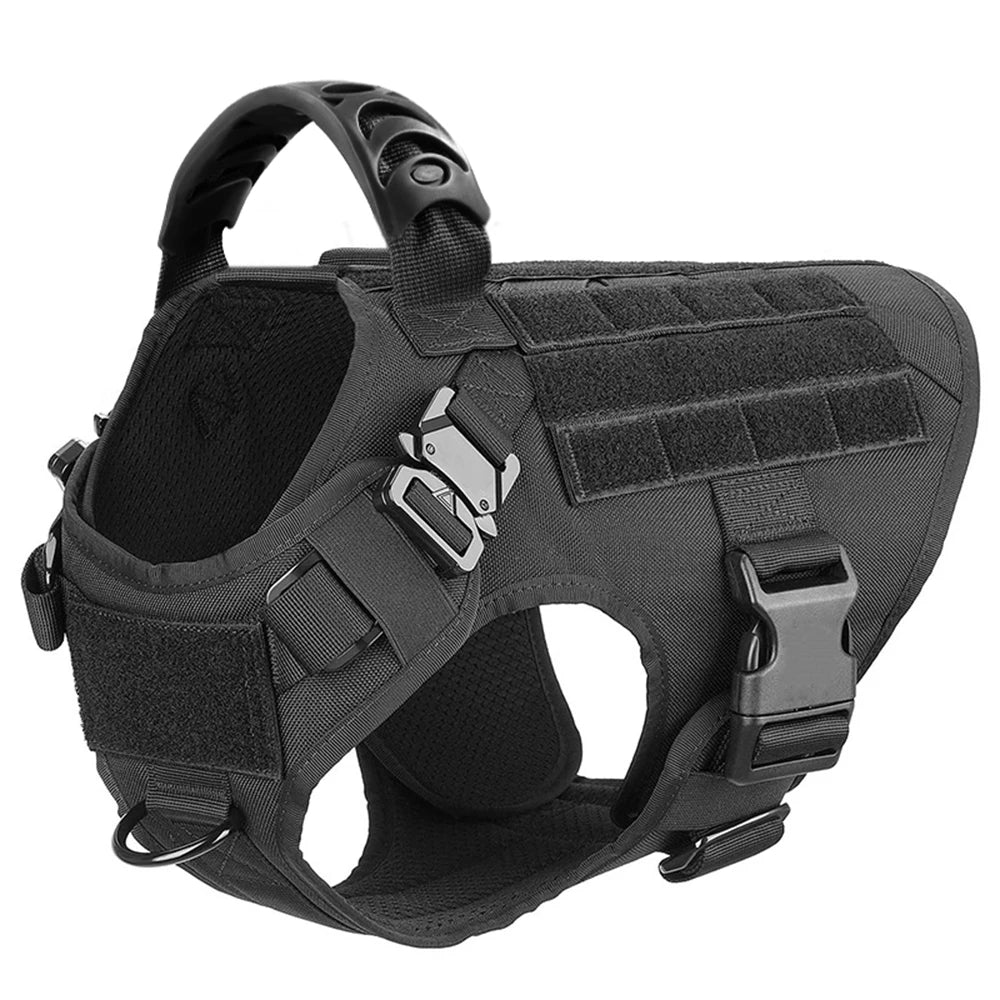 Padded Nylon Dog Harness And Leash Set With Quick Release