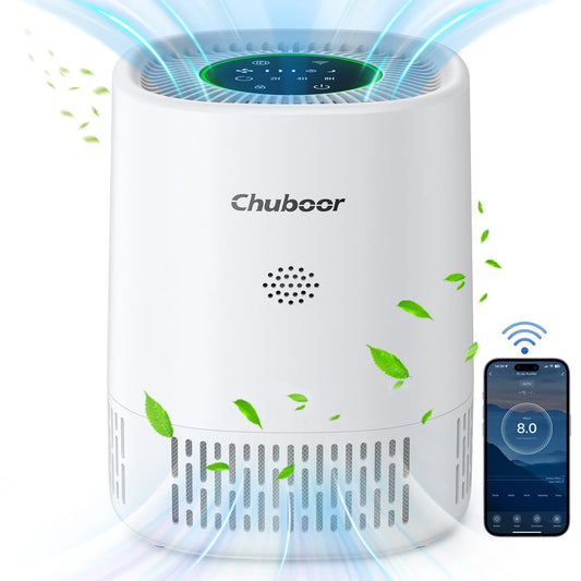Chuboor Desktop Air Purifier Removes Dust Allergens And Pet Dander