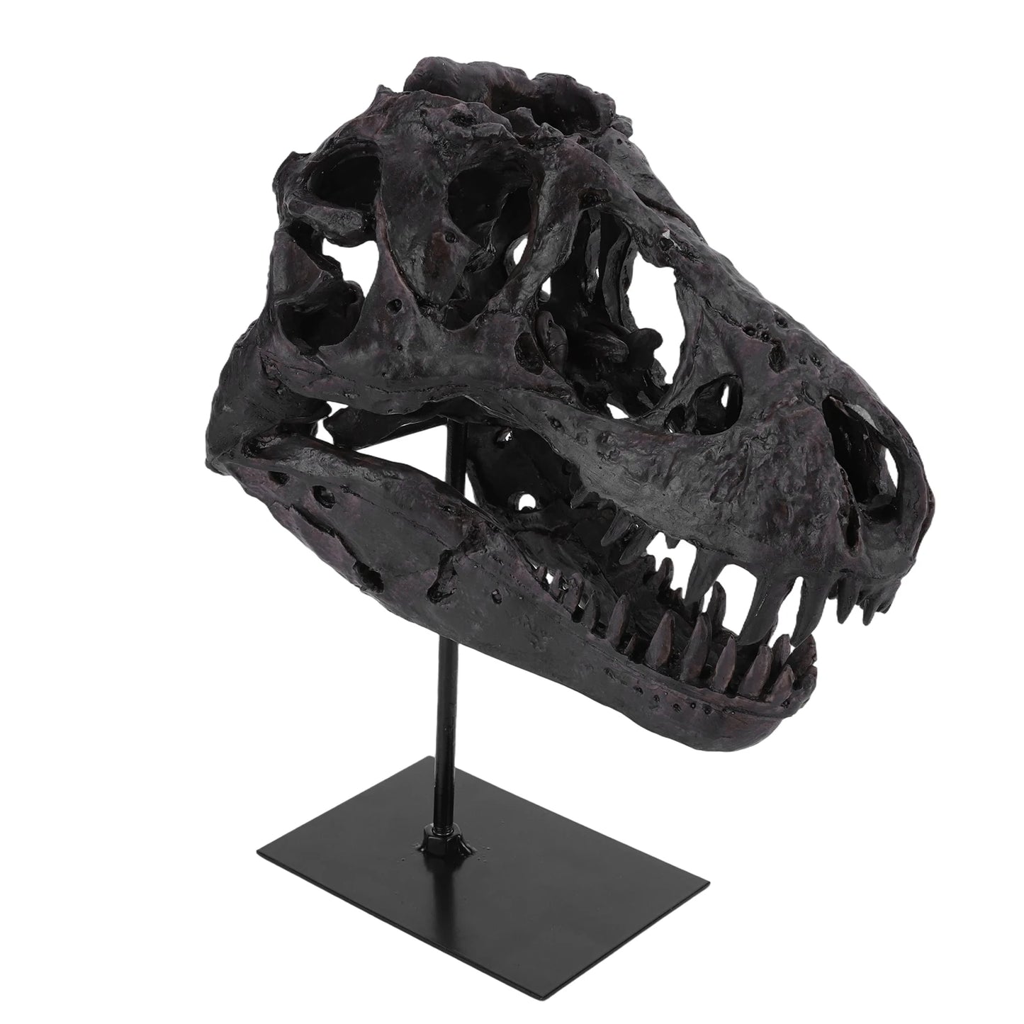 Tyrannosaurus Rex Fossil Resin Skull Sculpture With Display Bracket