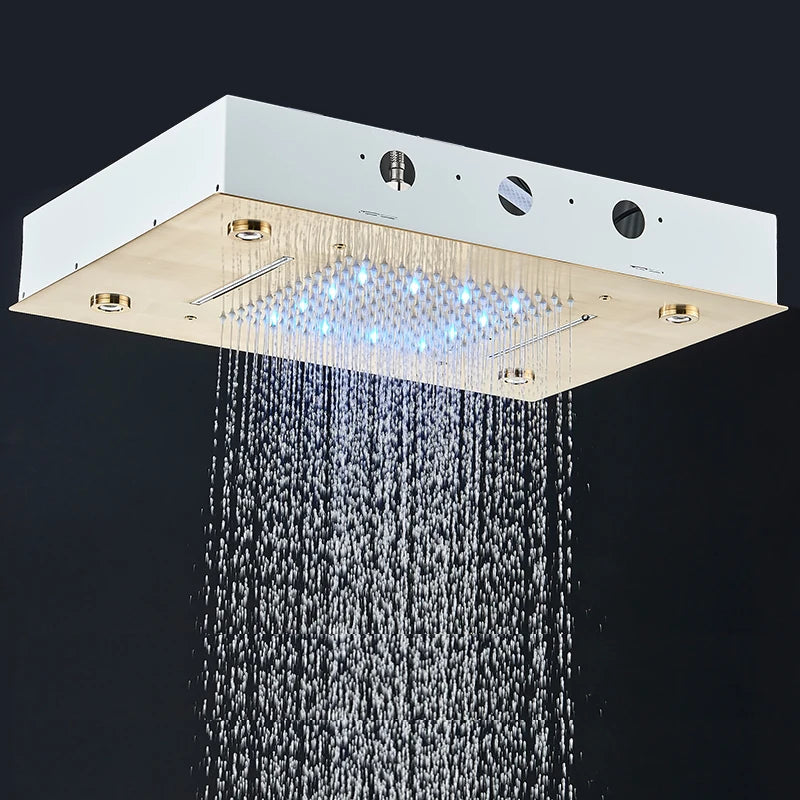 Rozin Ceiling LED Shower Head With Dual Spray Modes And Remote