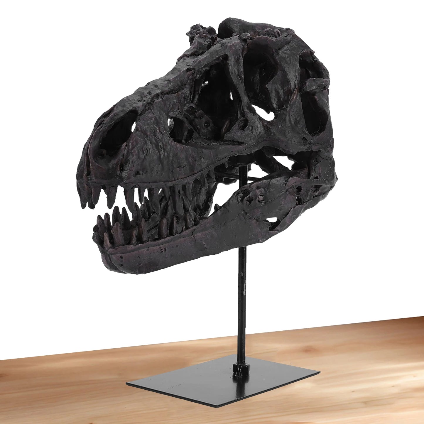 Tyrannosaurus Rex Fossil Resin Skull Sculpture With Display Bracket