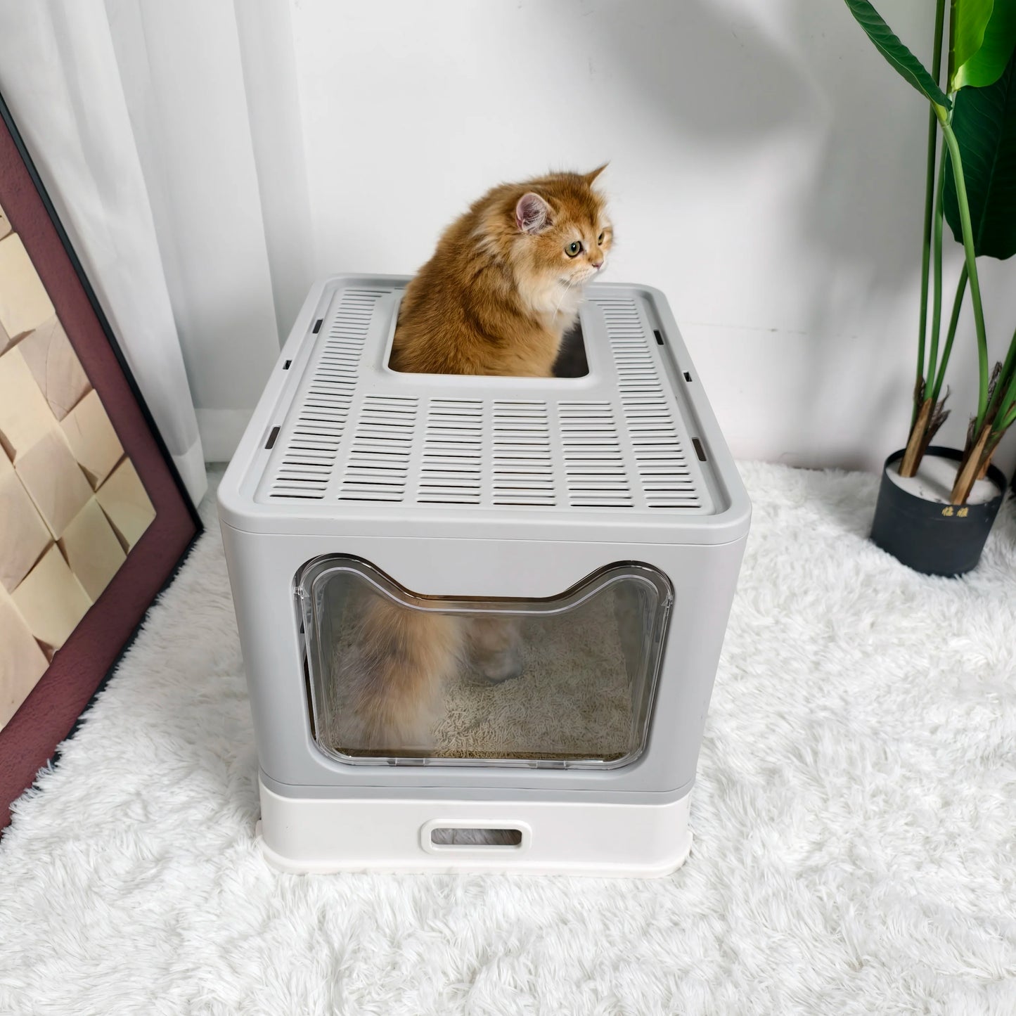 Plastic Cat Litter Box Front Entry With Top Exit Lid For Easy Cleaning