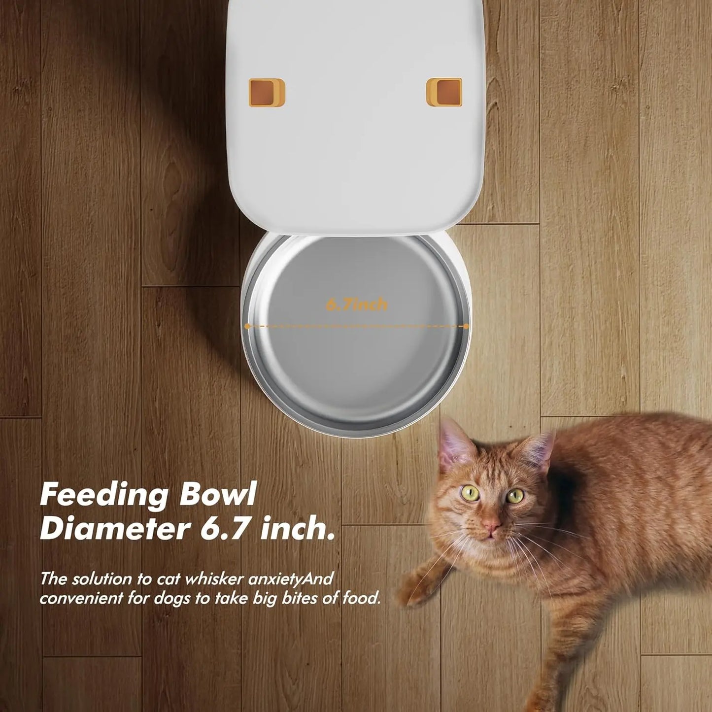 Nityers Automatic Cat Feeder With Key Control And Voice Recorder