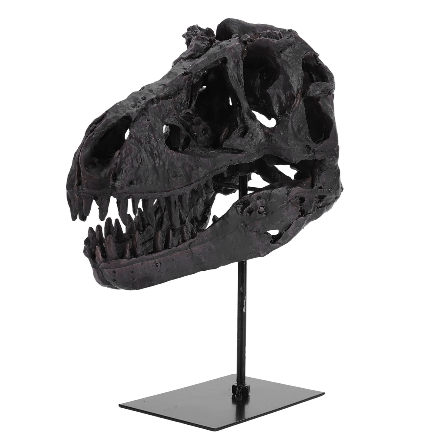 Tyrannosaurus Rex Fossil Resin Skull Sculpture With Display Bracket
