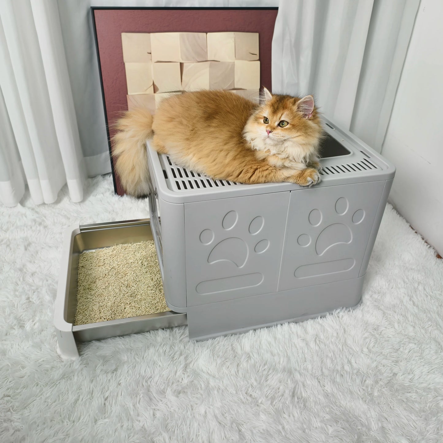 Plastic Cat Litter Box Front Entry With Top Exit Lid For Easy Cleaning