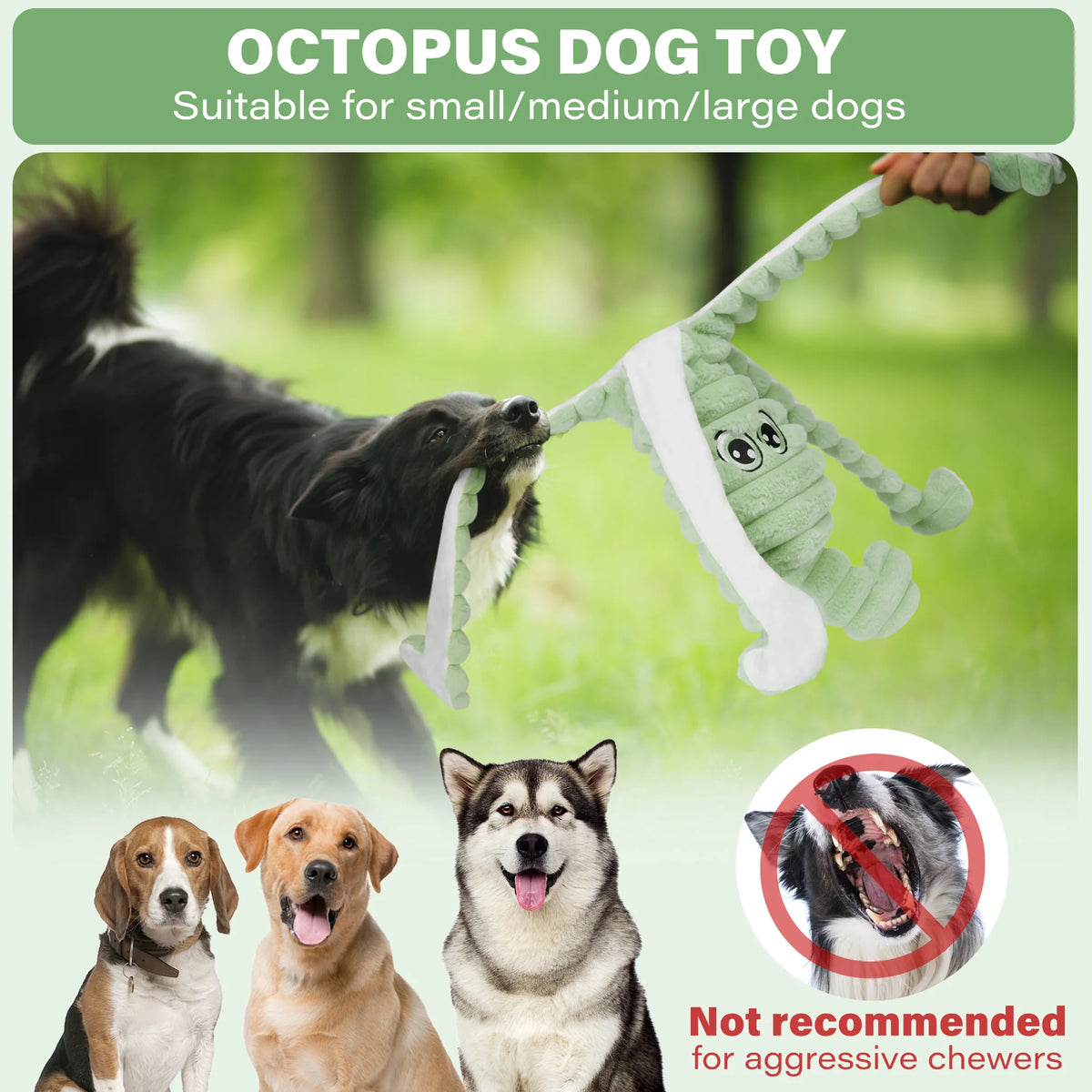 Octopus Plush Dog Toy With Squeaky Chew And Teeth Grinding