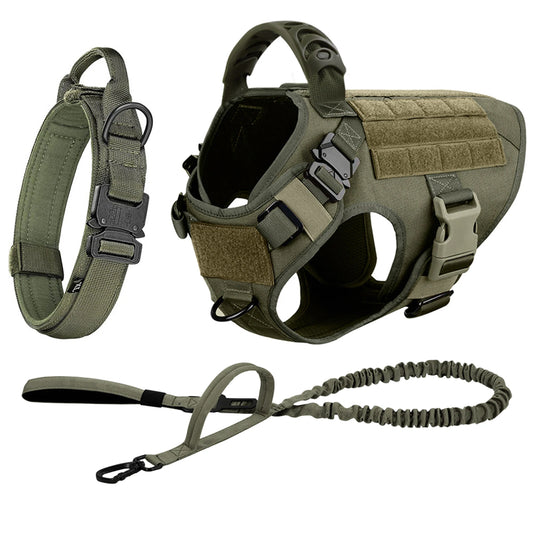 Padded Nylon Dog Harness And Leash Set With Quick Release